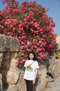 Paket Holyland Tour Promo Murah