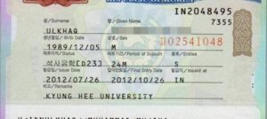 visa bisnis China