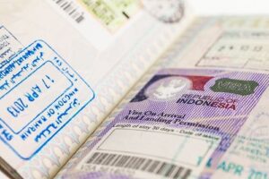 visa bisnis