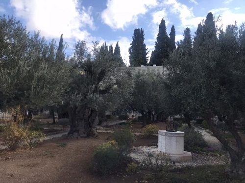 Taman Getsemani
