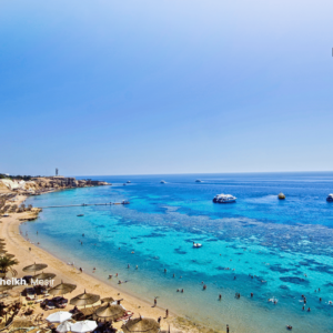 12D HOLYLAND JOURNEY