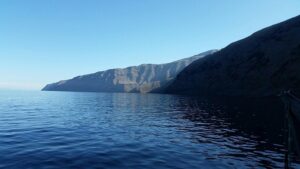 Guadalupe Island